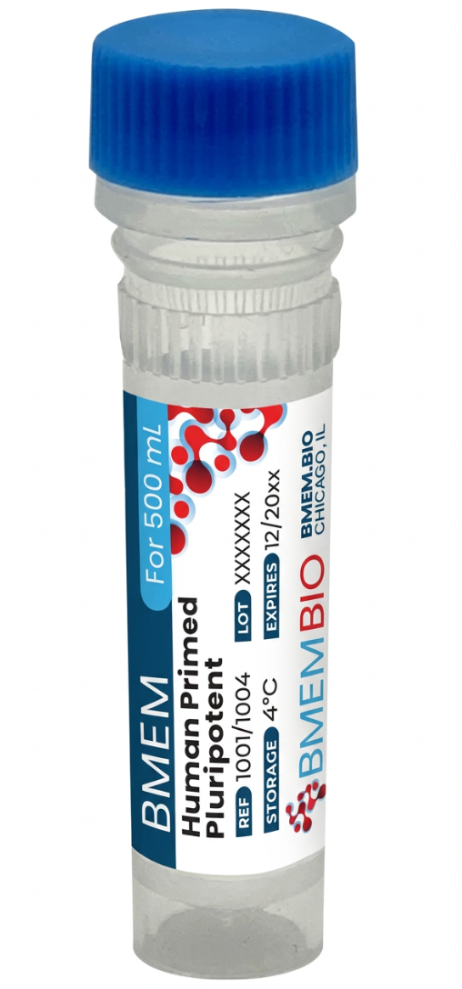 BMEM Pluripotent Kit
