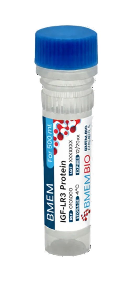 Recombinant Human IGF1 LR3 Protein