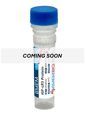 buy igf-1 lr3 media Buy IGF-1 LR3 1mg for Research in 2026 main image 0