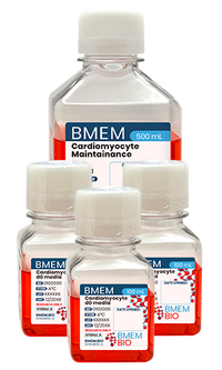 BMEM Protein-Free Cardiomyocyte Differentiation Kit