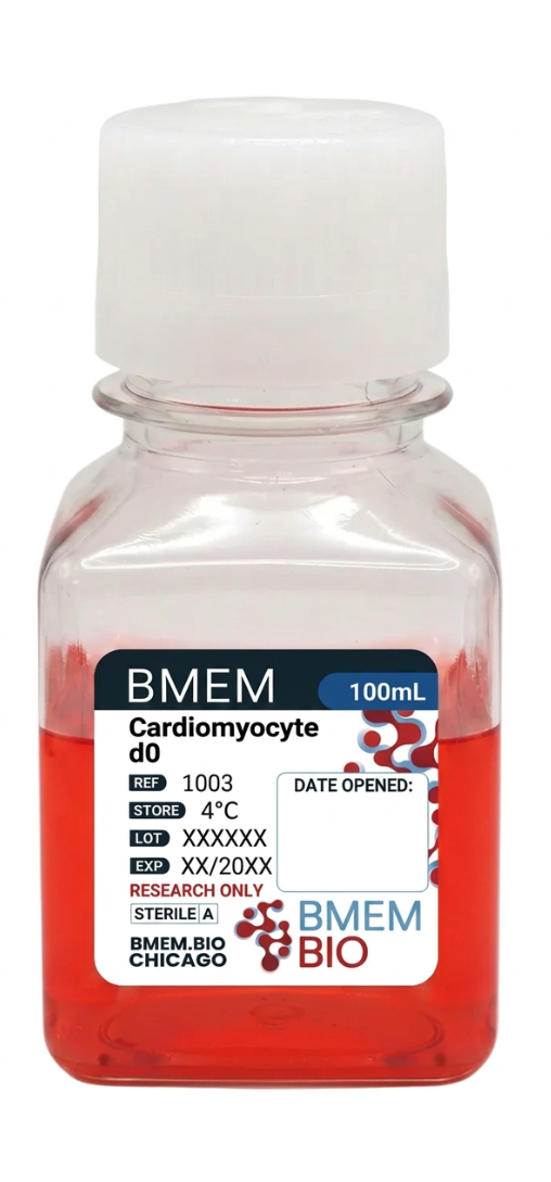 BMEM Protein-Free Cardiomyocyte Differentiation Kit