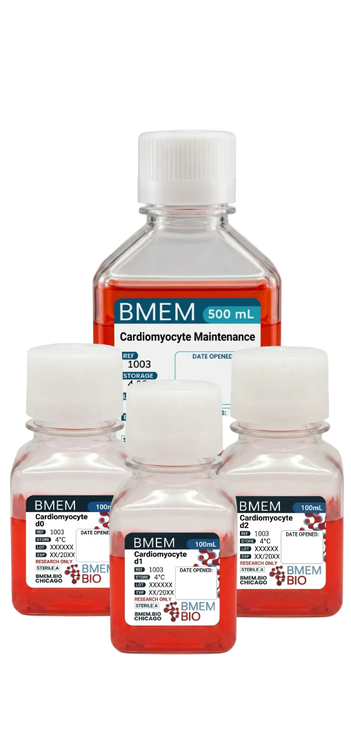 BMEM Protein-Free Cardiomyocyte Differentiation Kit