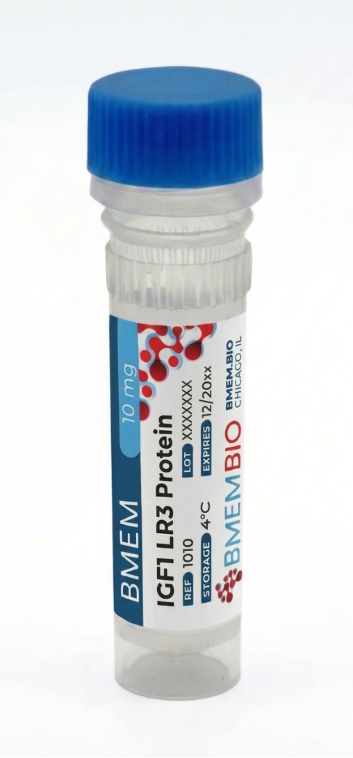 Recombinant Human IGF1 LR3 Protein
