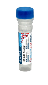 Recombinant Human IGF1 LR3 Protein