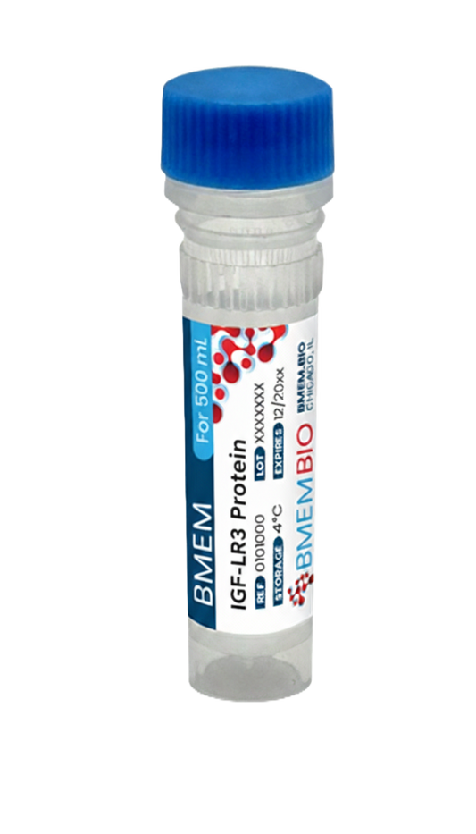 Recombinant Human IGF1 LR3 Protein