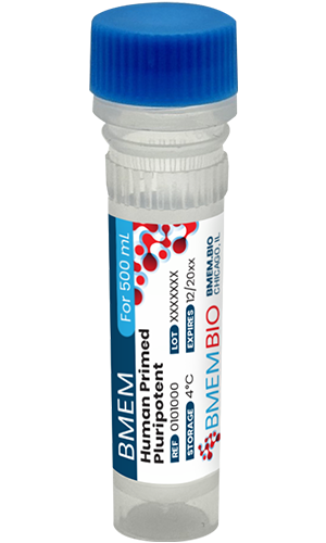 BMEM Human Primed Pluripotent Kit