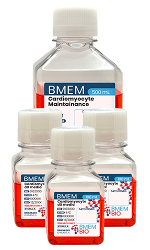 BMEM Protein-Free Cardiomyocyte Differentiation Kit
